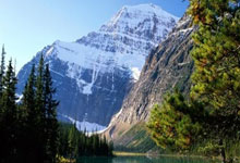 开云体育-跆拳道选手战胜强手，晋级八强